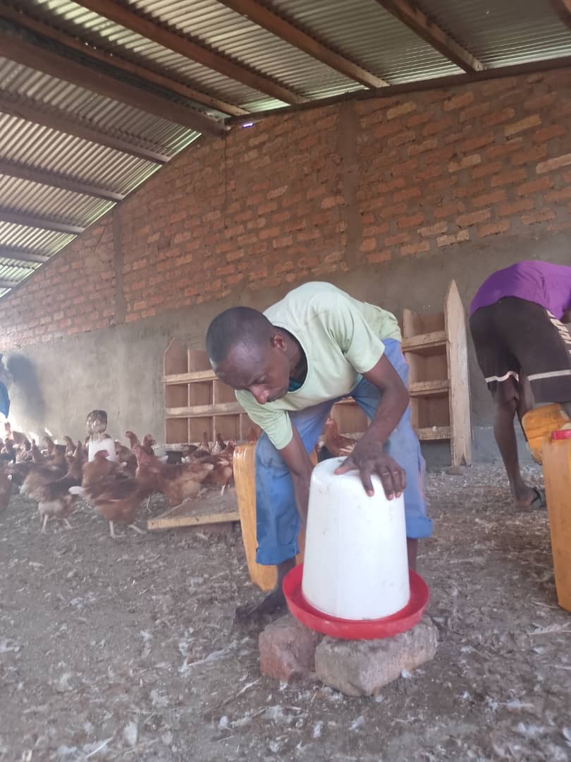 Fondazione Cuore Livio Mazzonetto ONLUS