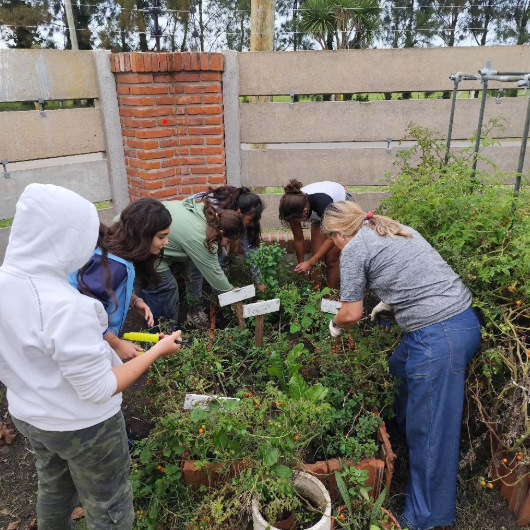 Fondazione Cuore Livio Mazzonetto ONLUS